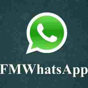 FMWhatsApp APK