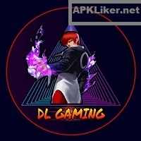 DL Gaming Injector